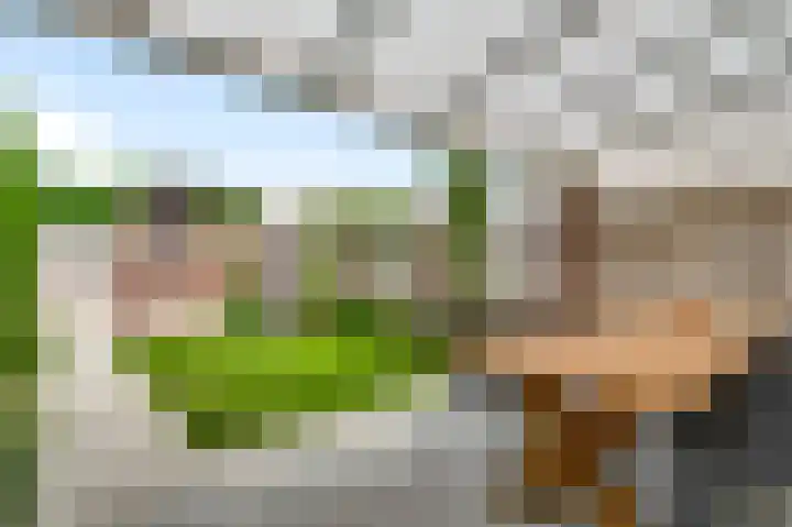 Kruisstraat 34 Stramproy thumbnail 34