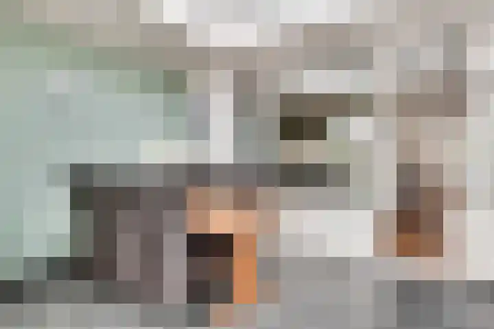 Kruisstraat 34 Stramproy thumbnail 4