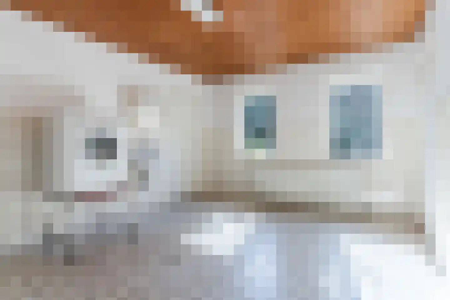 Kruisstraat 34 Veldhoven thumbnail 16