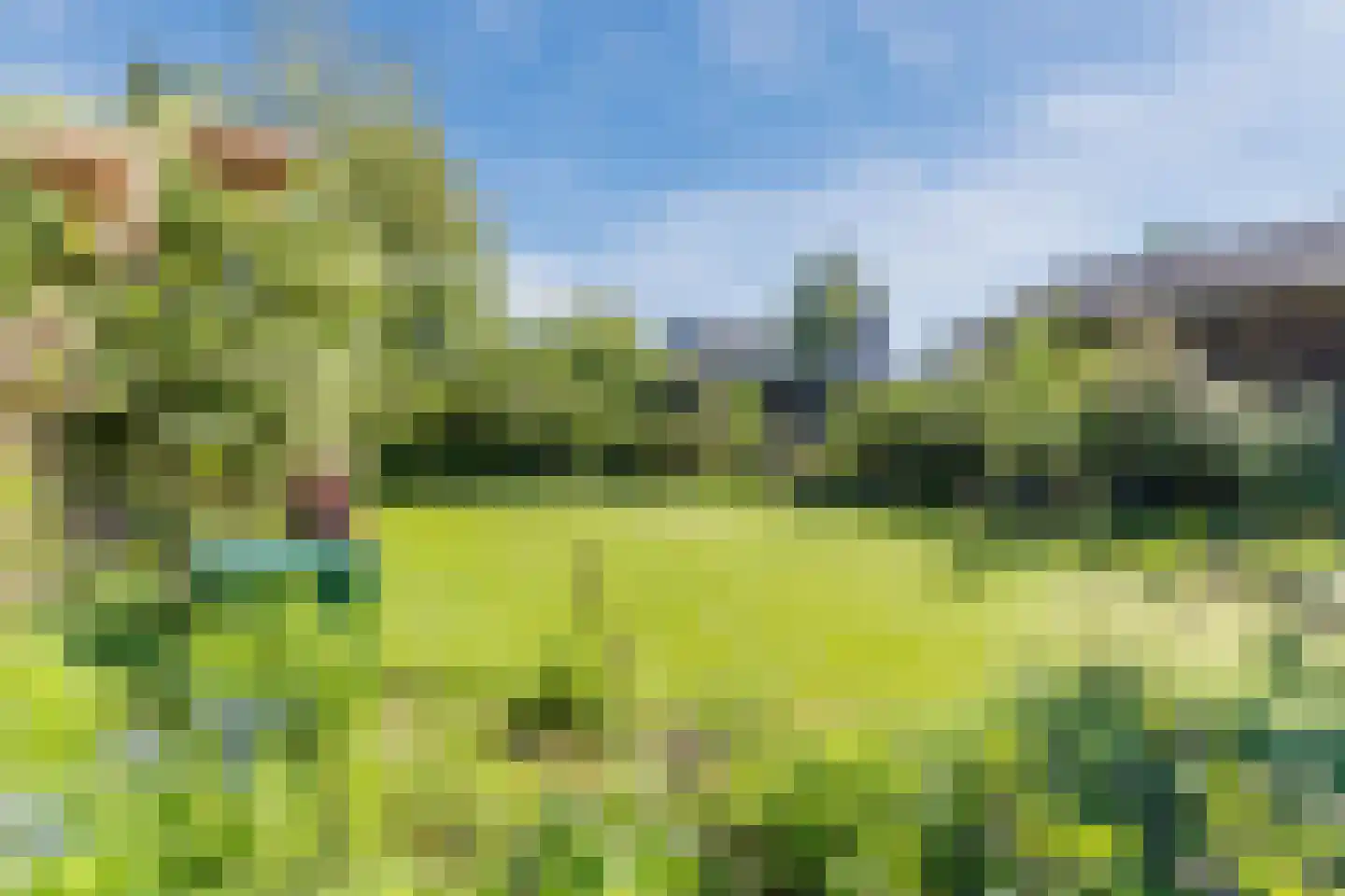 Kruisstraat 34 Veldhoven thumbnail 34