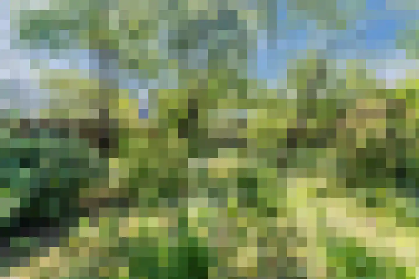 Kruisstraat 34 Veldhoven thumbnail 35