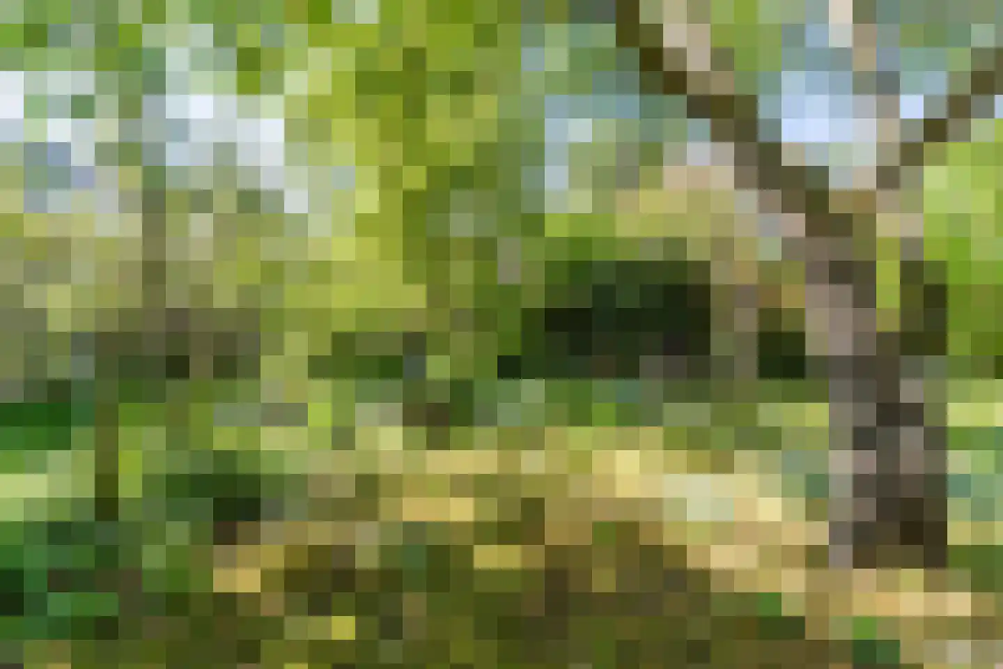 Kruisstraat 34 Veldhoven thumbnail 36