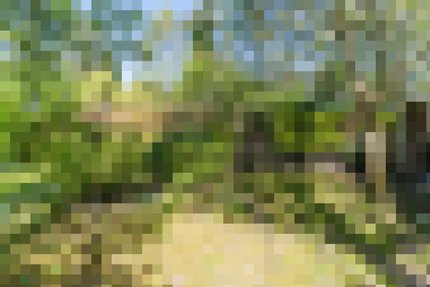 Kruisstraat 34 Veldhoven thumbnail 37