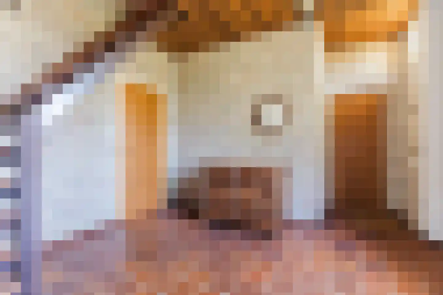 Kruisstraat 34 Veldhoven thumbnail 7