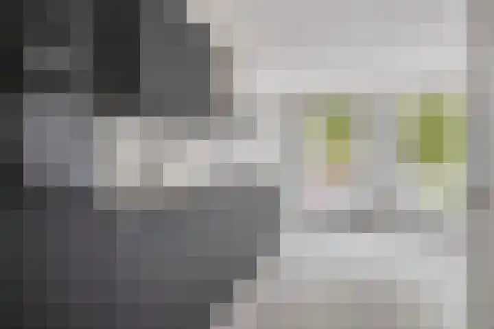 Kruisstraat 35 A Oss thumbnail 4