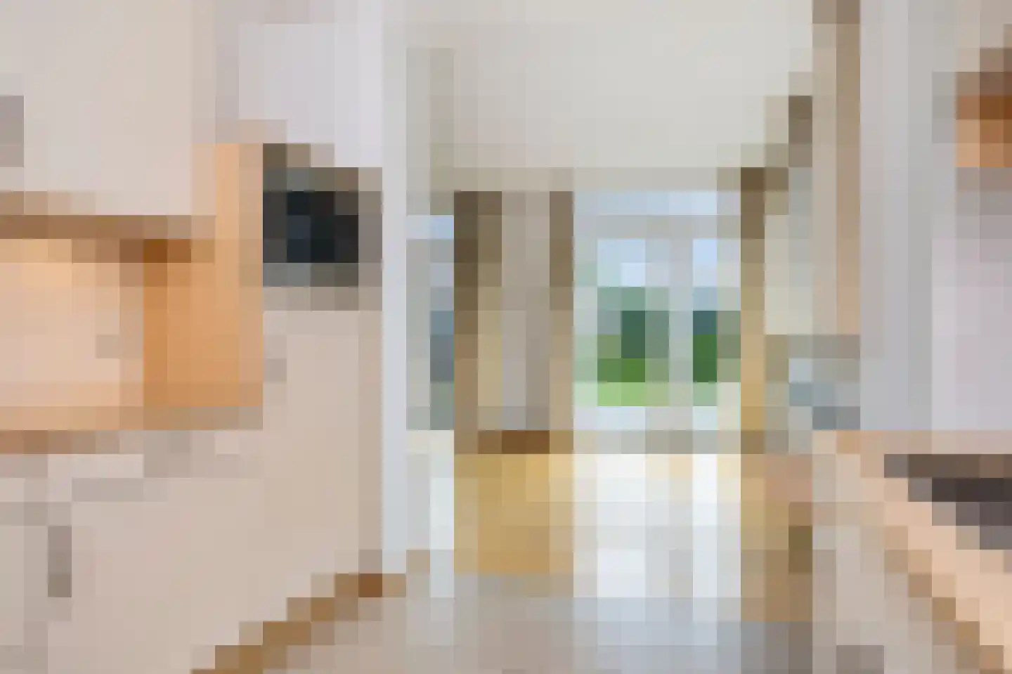 Kruisstraat 38 a Schimmert thumbnail 20