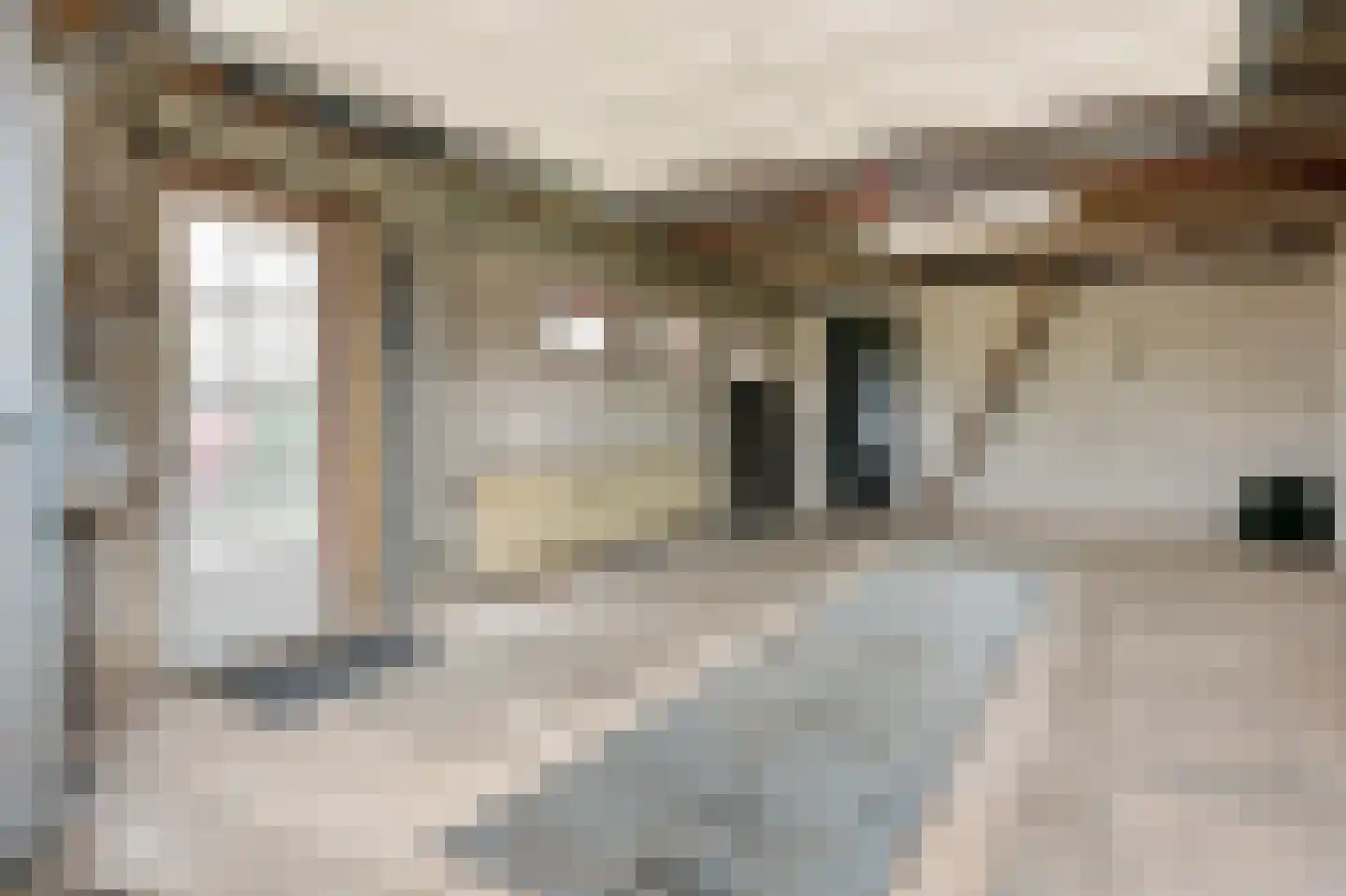 Kruisstraat 38 a Schimmert thumbnail 33