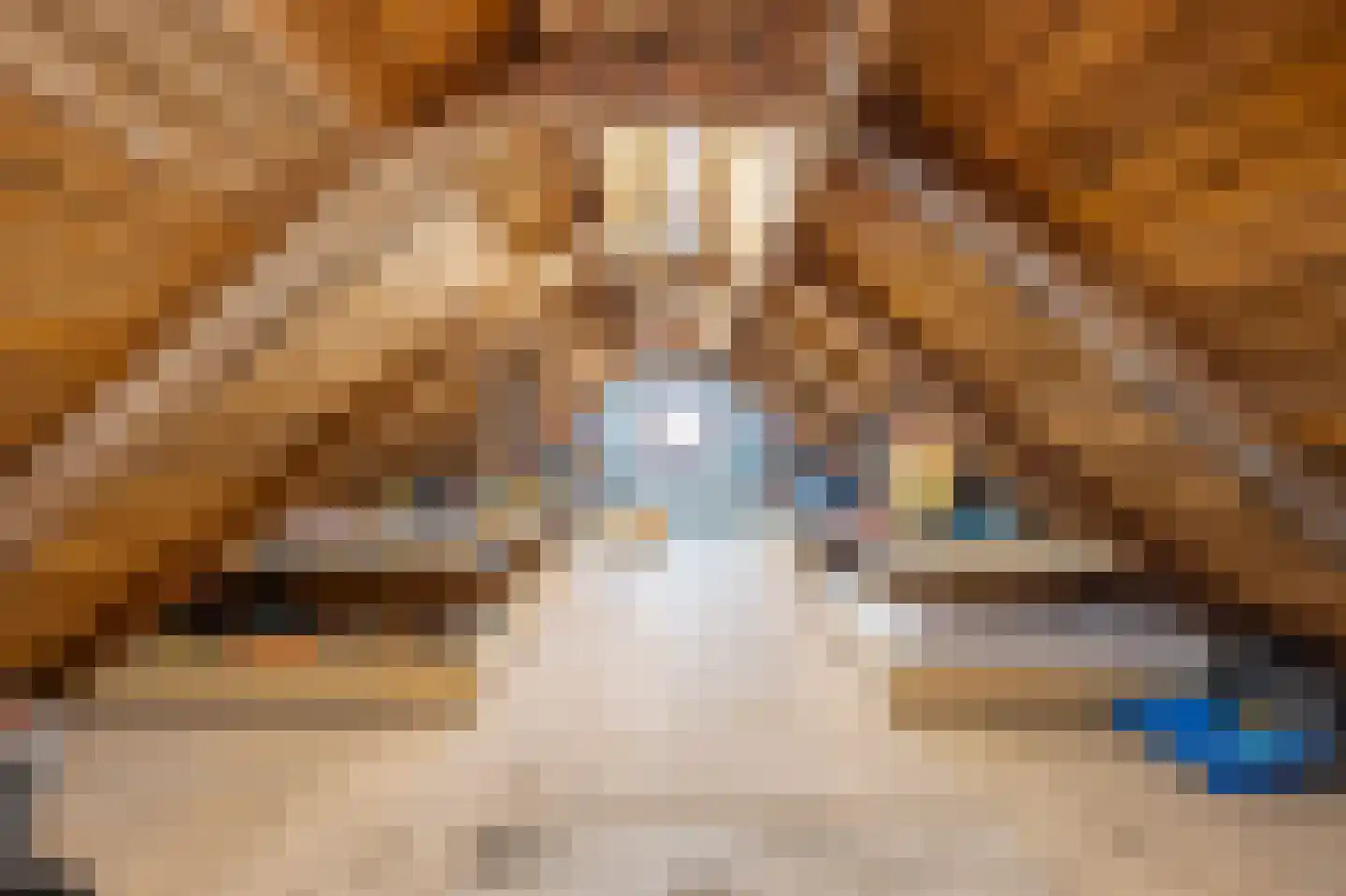 Kruisstraat 38 a Schimmert thumbnail 35