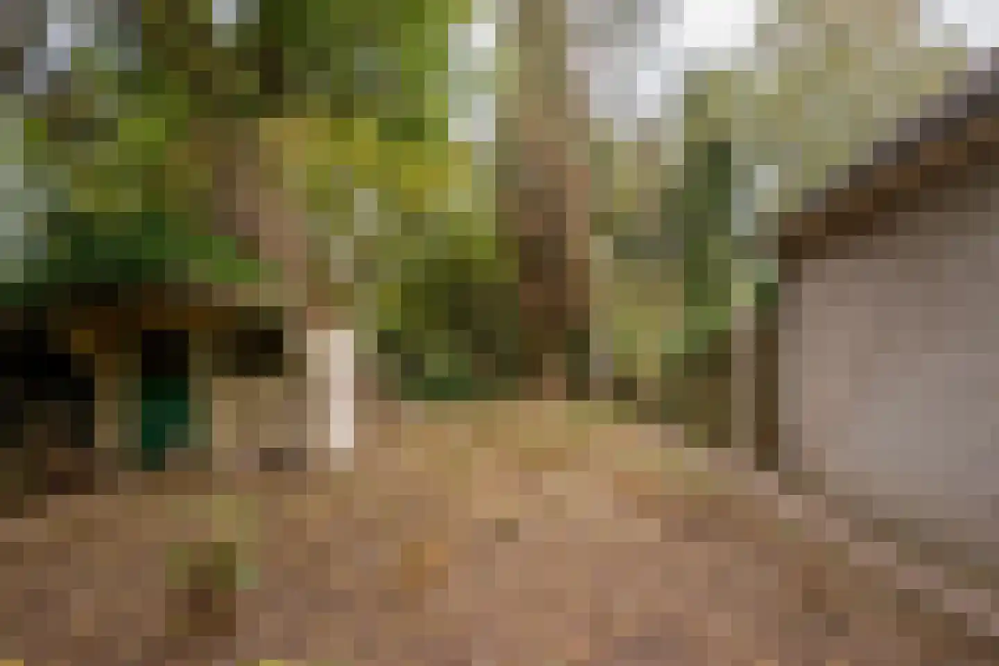 Kruisstraat 38 Veldhoven thumbnail 31