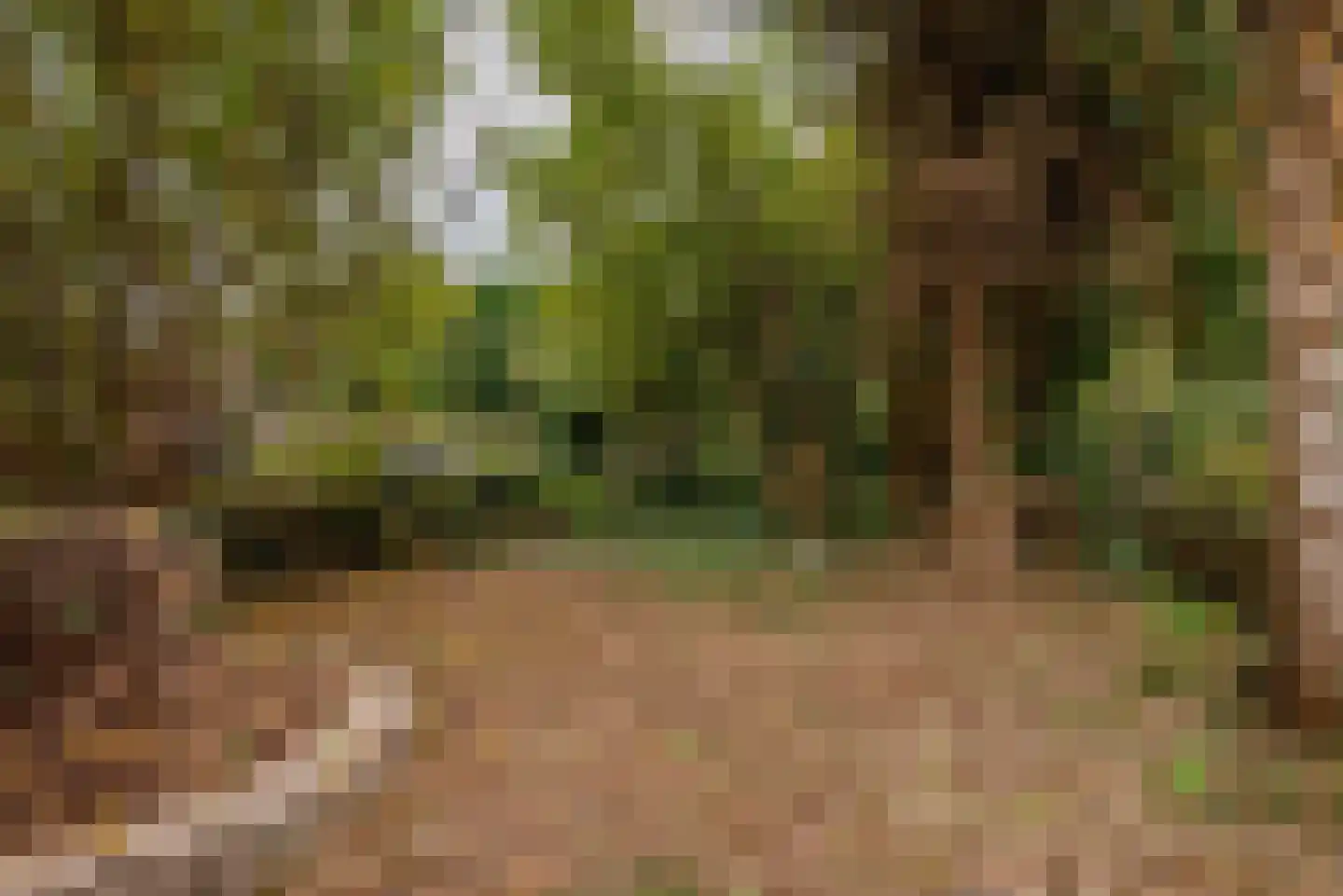 Kruisstraat 38 Veldhoven thumbnail 32