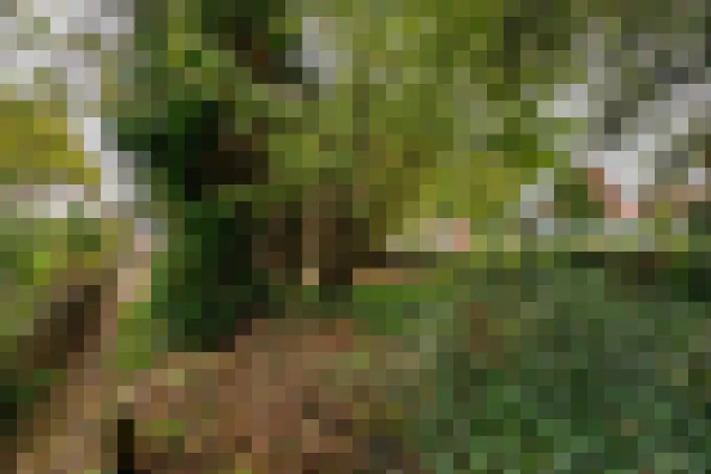 Kruisstraat 38 Veldhoven thumbnail 34