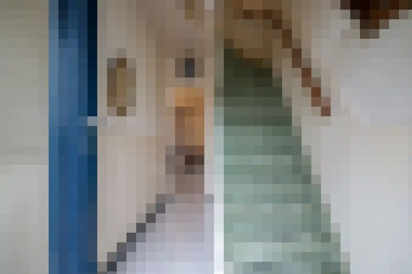 Kruisstraat 38 Veldhoven thumbnail 4