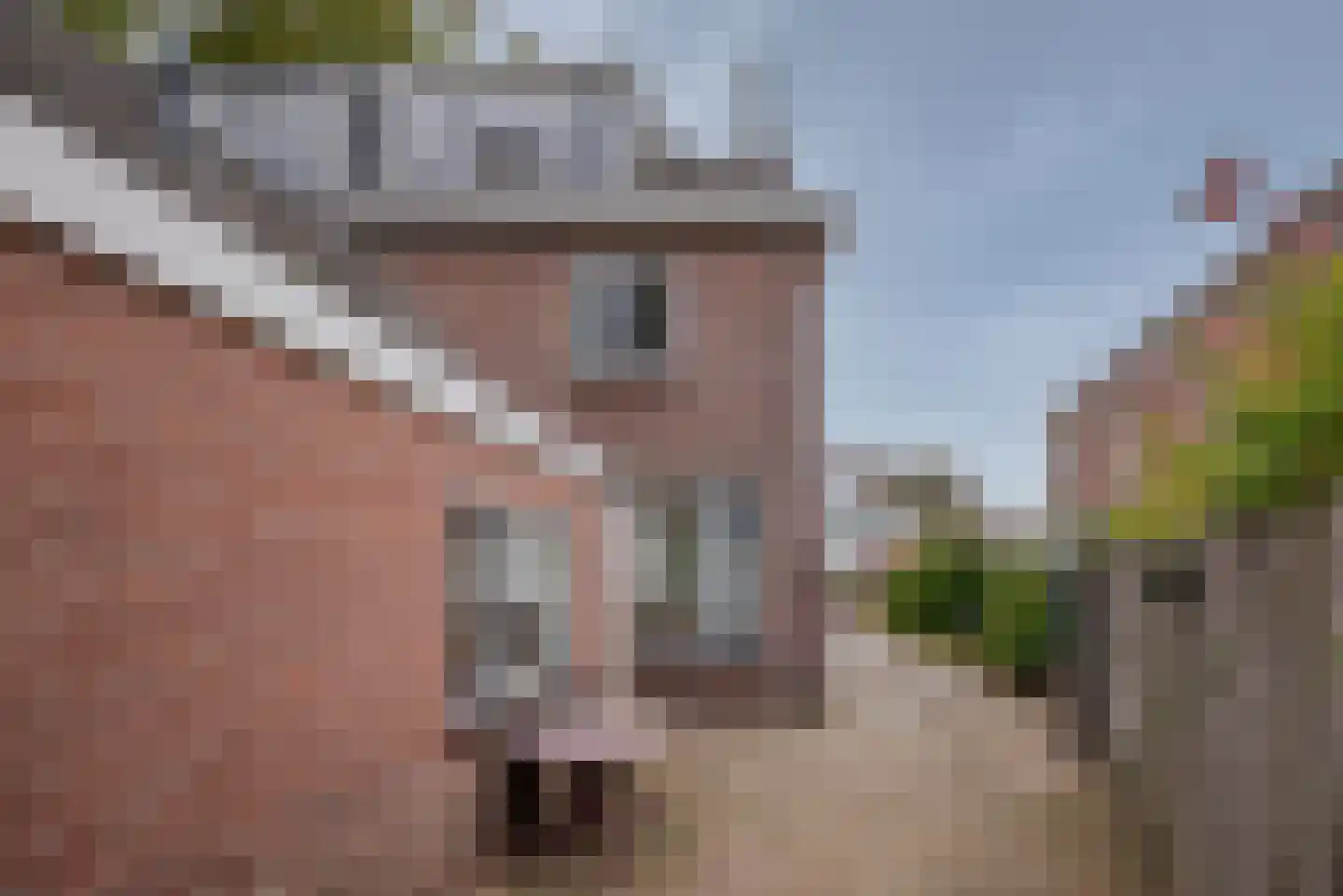 Kruisstraat 38 Veldhoven thumbnail 40