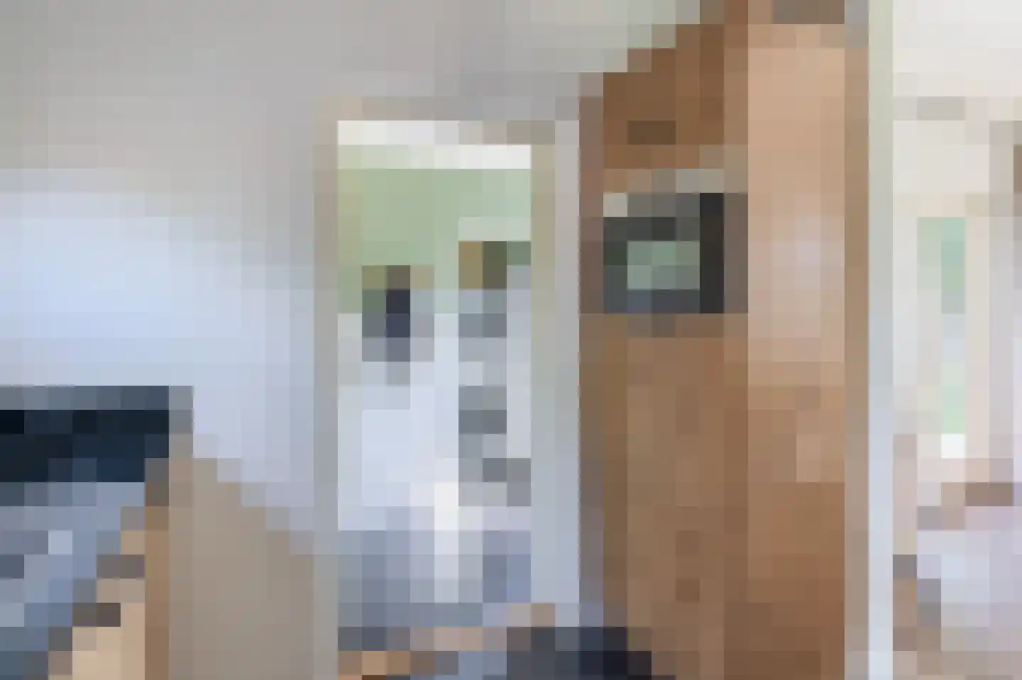 Kruisstraat 39 Lage Zwaluwe thumbnail 19