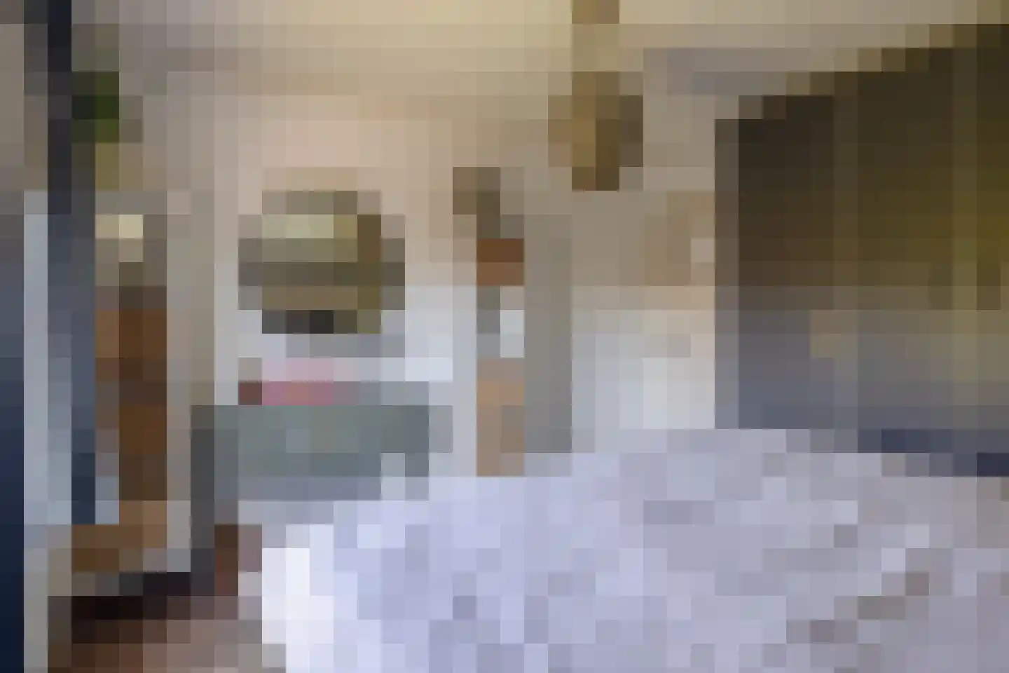 Kruisstraat 39 Lage Zwaluwe thumbnail 25
