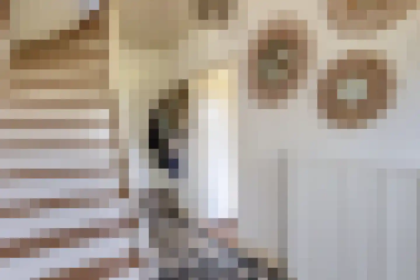 Kruisstraat 39 Lage Zwaluwe thumbnail 9