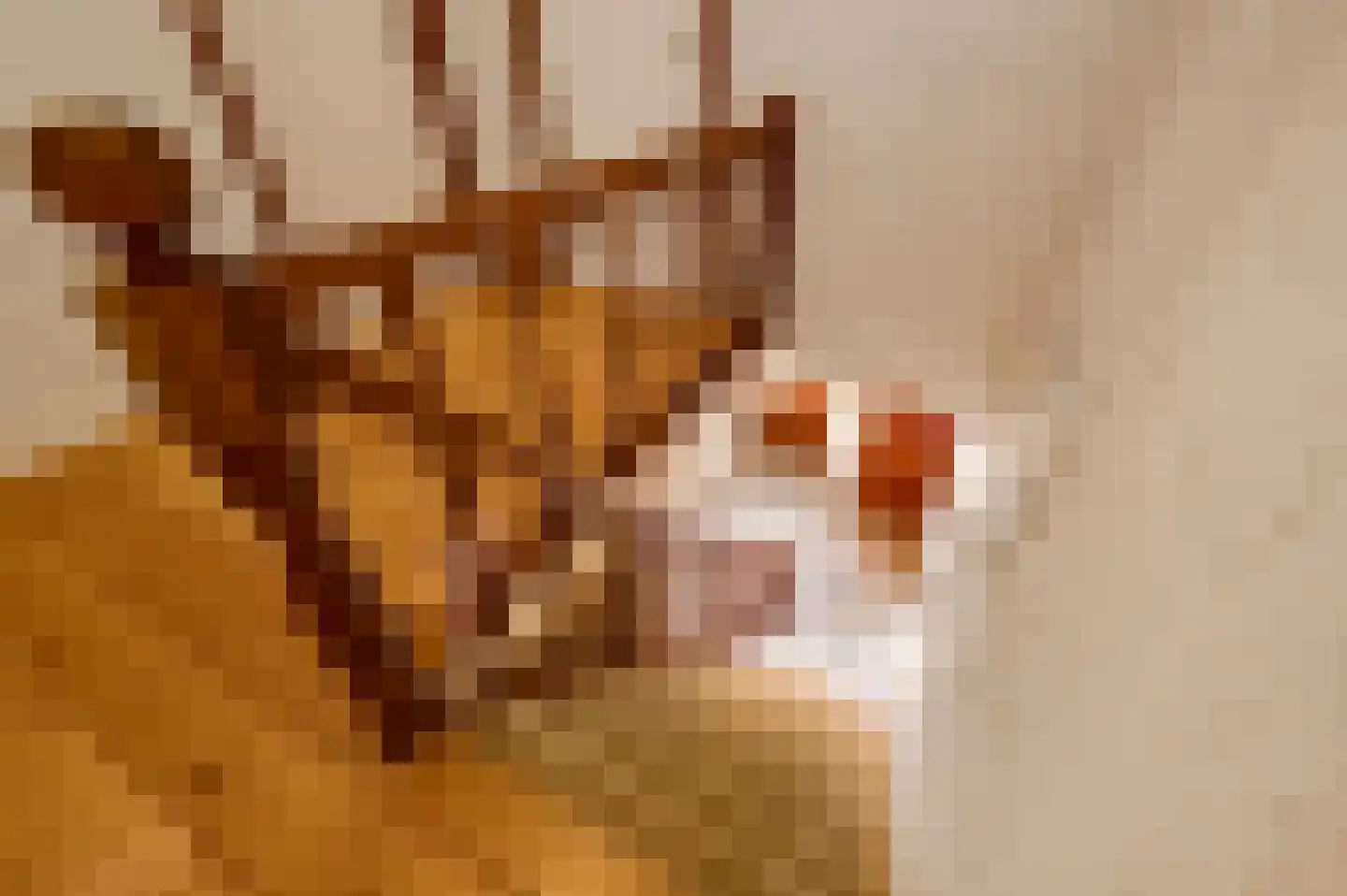 Kruisstraat 4 Beegden thumbnail 31
