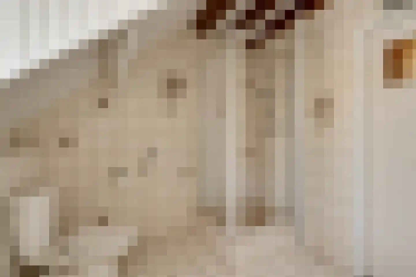 Kruisstraat 4 Beegden thumbnail 39