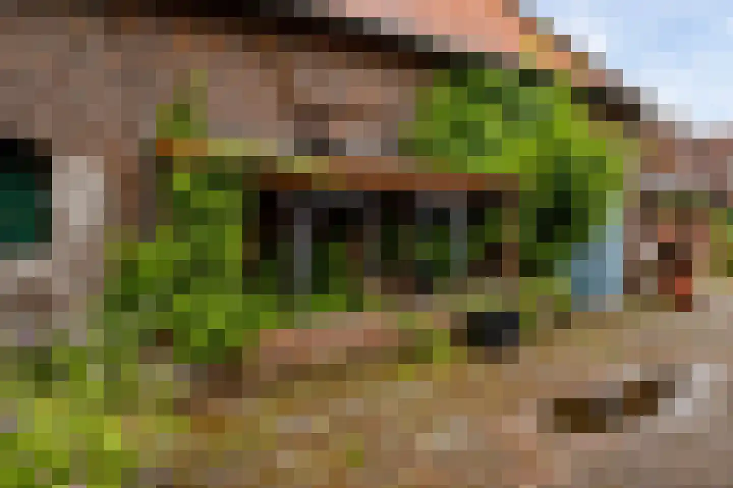 Kruisstraat 4 Beegden thumbnail 61
