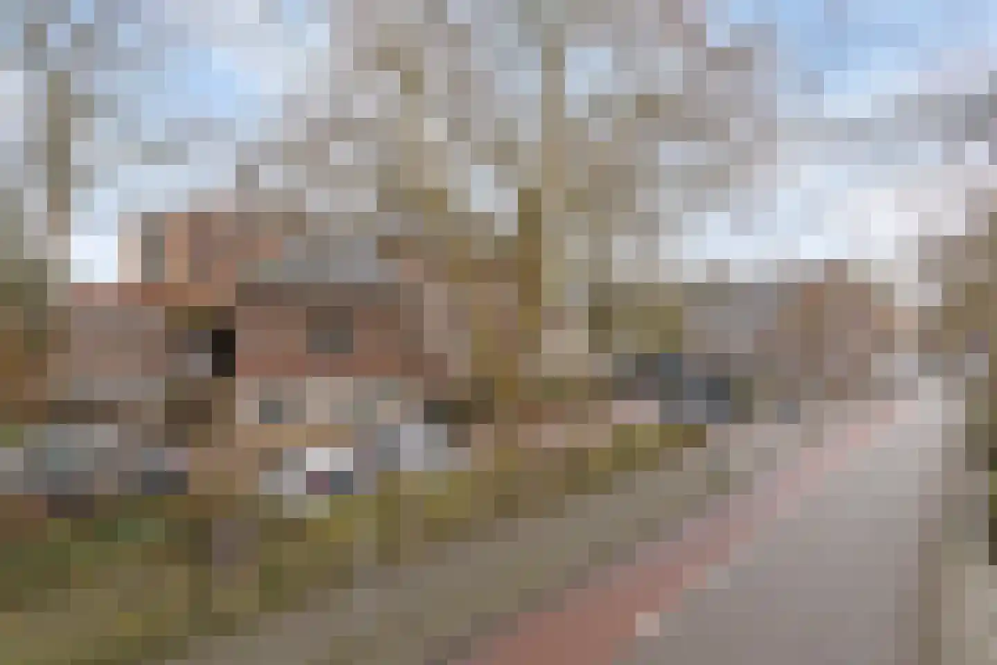 Kruisstraat 4 D Heerlen thumbnail 35