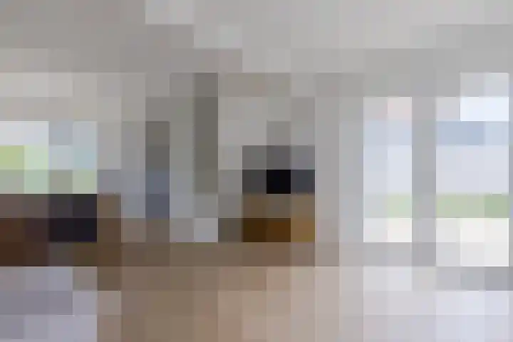 Kruisstraat 4 Krommenie thumbnail 10