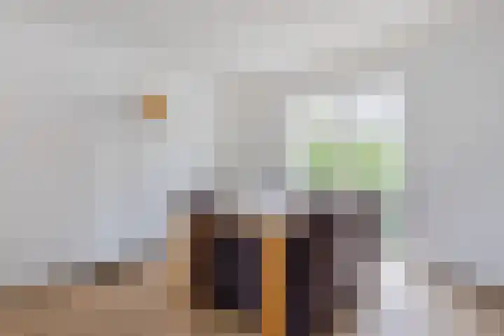 Kruisstraat 4 Krommenie thumbnail 13
