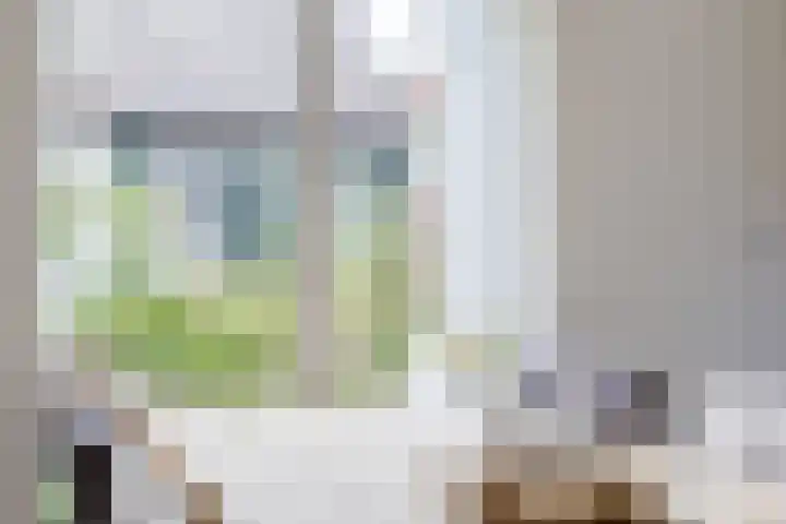 Kruisstraat 4 Krommenie thumbnail 14