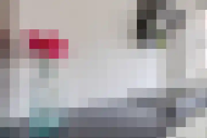 Kruisstraat 4 Krommenie thumbnail 15