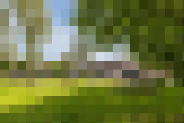 Kruisstraat 4 Krommenie thumbnail 49