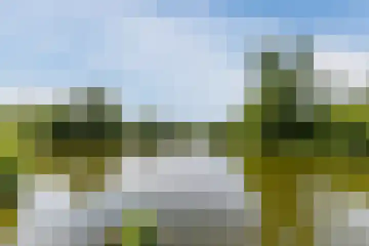 Kruisstraat 4 Krommenie thumbnail 50