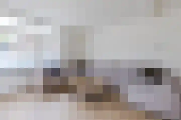 Kruisstraat 4 Krommenie thumbnail 9