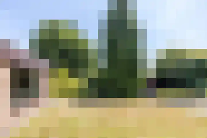 Kruisstraat 4 Munstergeleen thumbnail 25