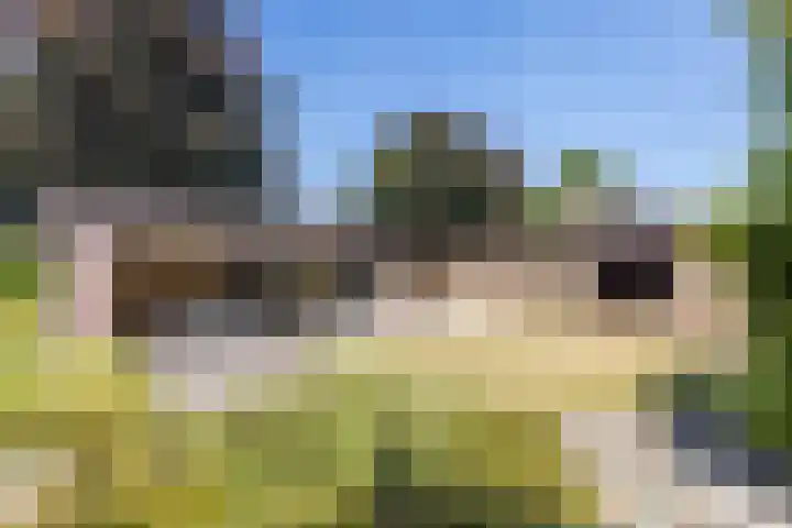 Kruisstraat 4 Munstergeleen thumbnail 28