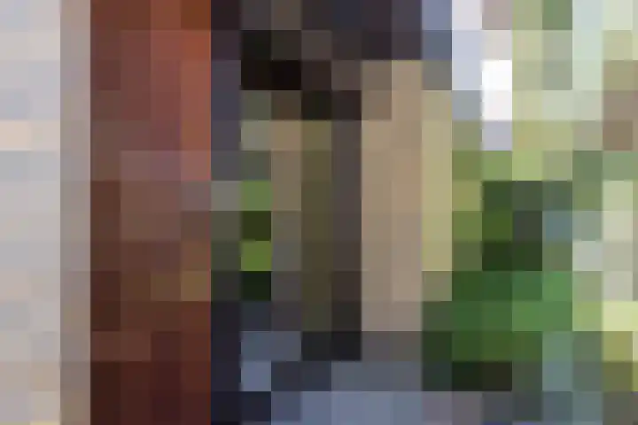 Kruisstraat 4 Munstergeleen thumbnail 4