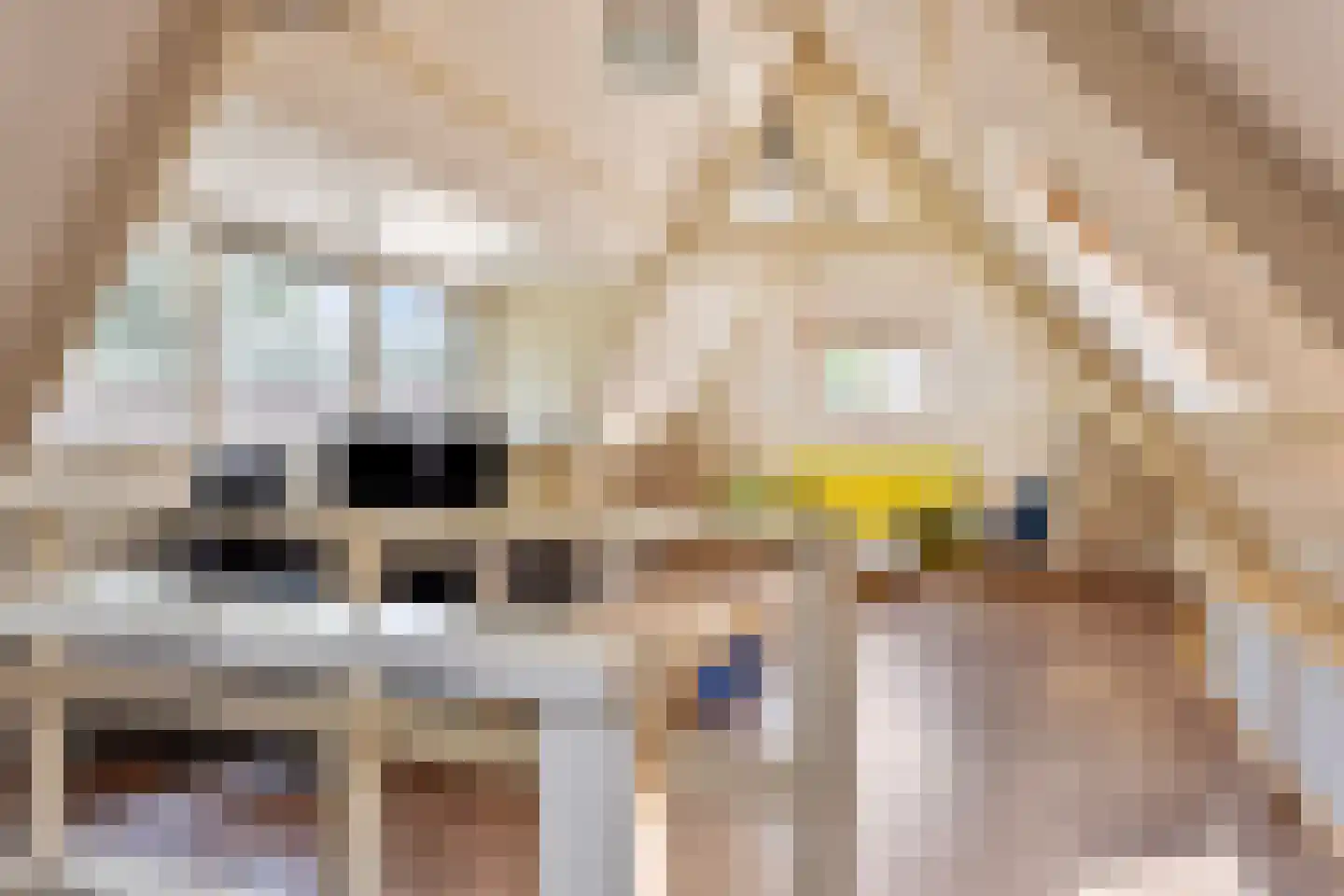 Kruisstraat 4 Oldenzaal thumbnail 22