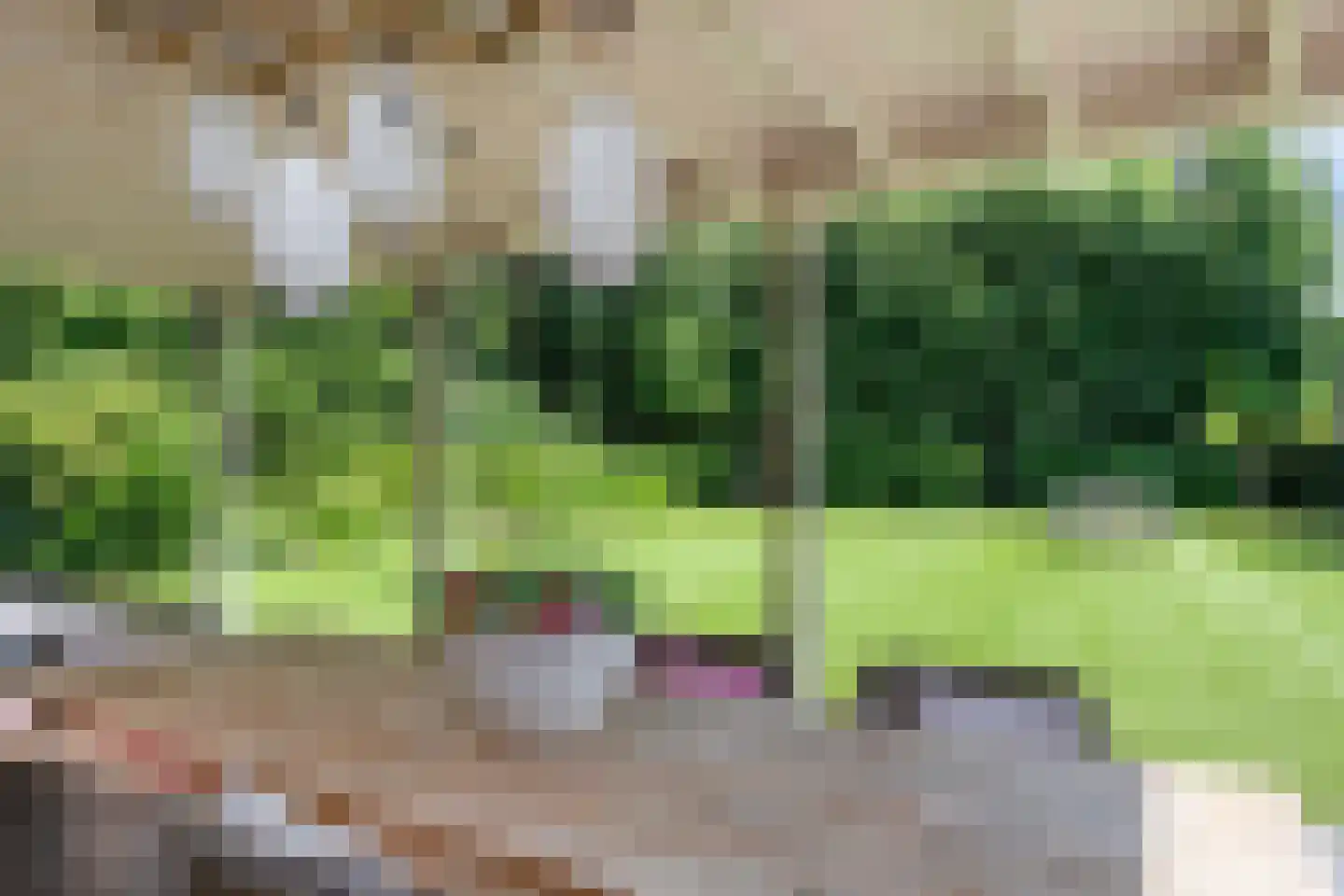 Kruisstraat 4 Oldenzaal thumbnail 37