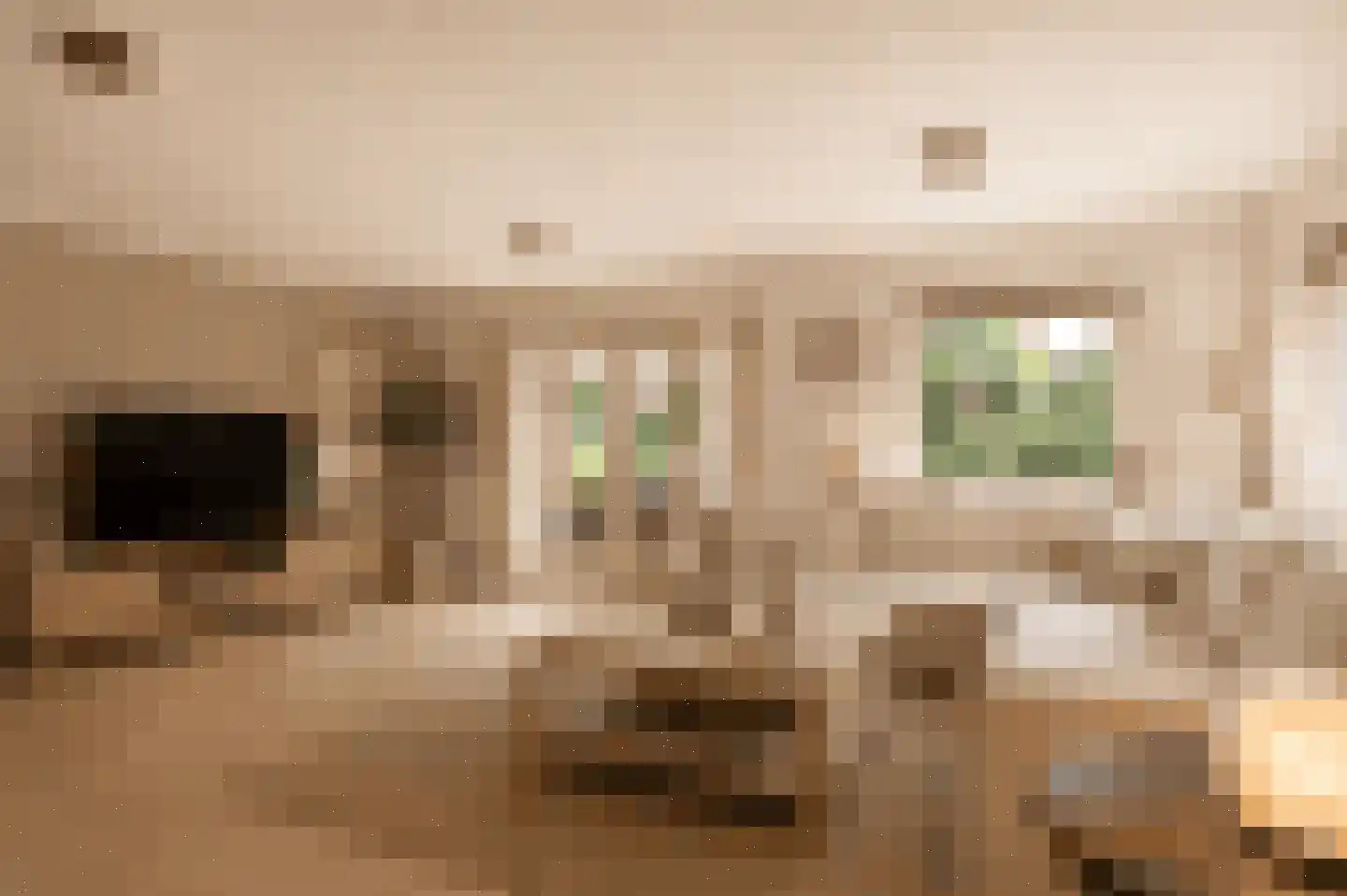 Kruisstraat 4 Oldenzaal thumbnail 6