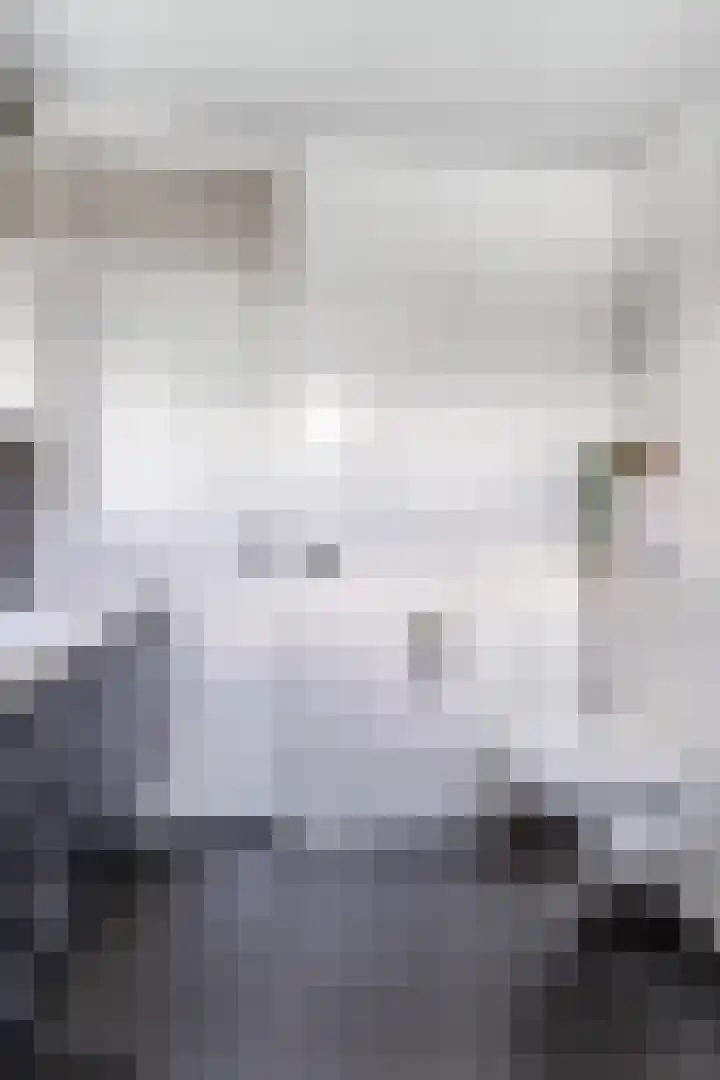 Kruisstraat 4 Oosterhout thumbnail 23