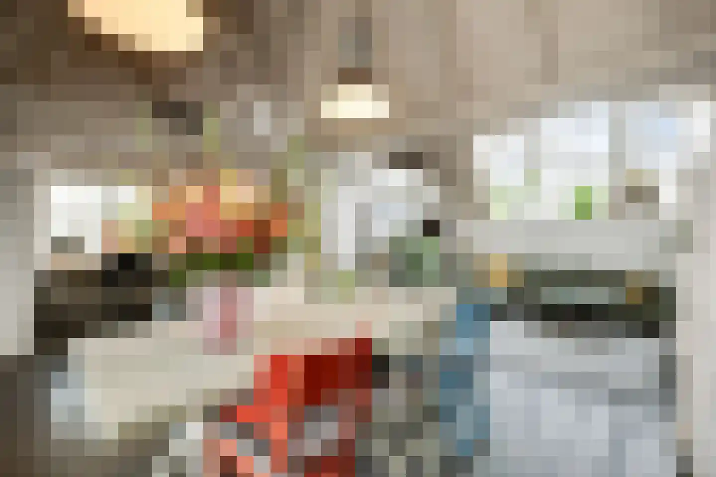 Kruisstraat 4 's-Hertogenbosch thumbnail 17