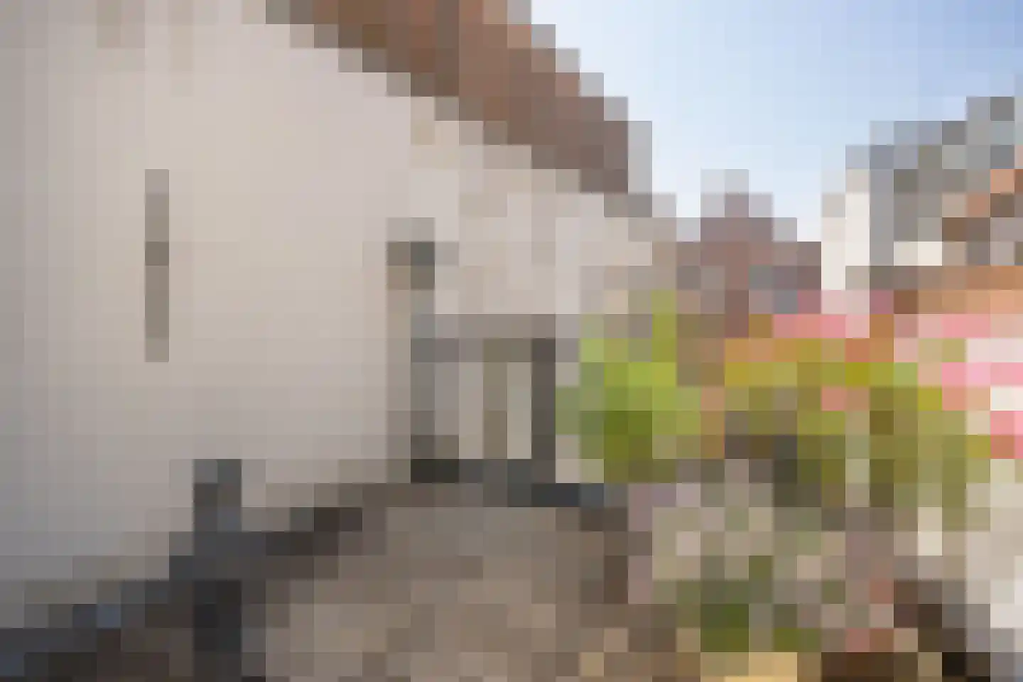 Kruisstraat 4 's-Hertogenbosch thumbnail 19