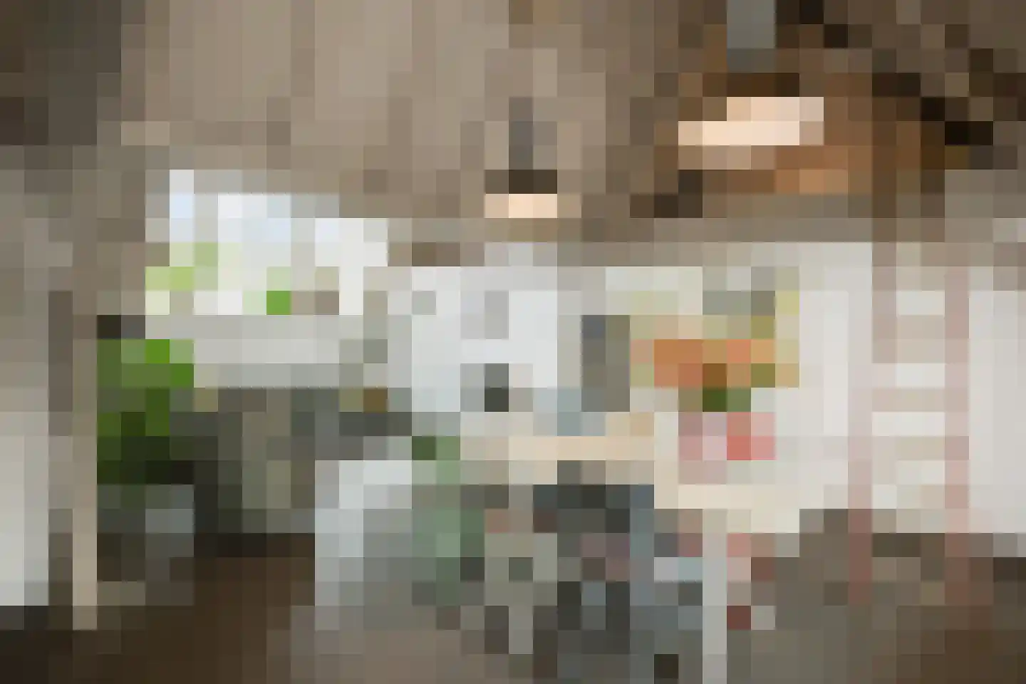 Kruisstraat 4 's-Hertogenbosch thumbnail 22