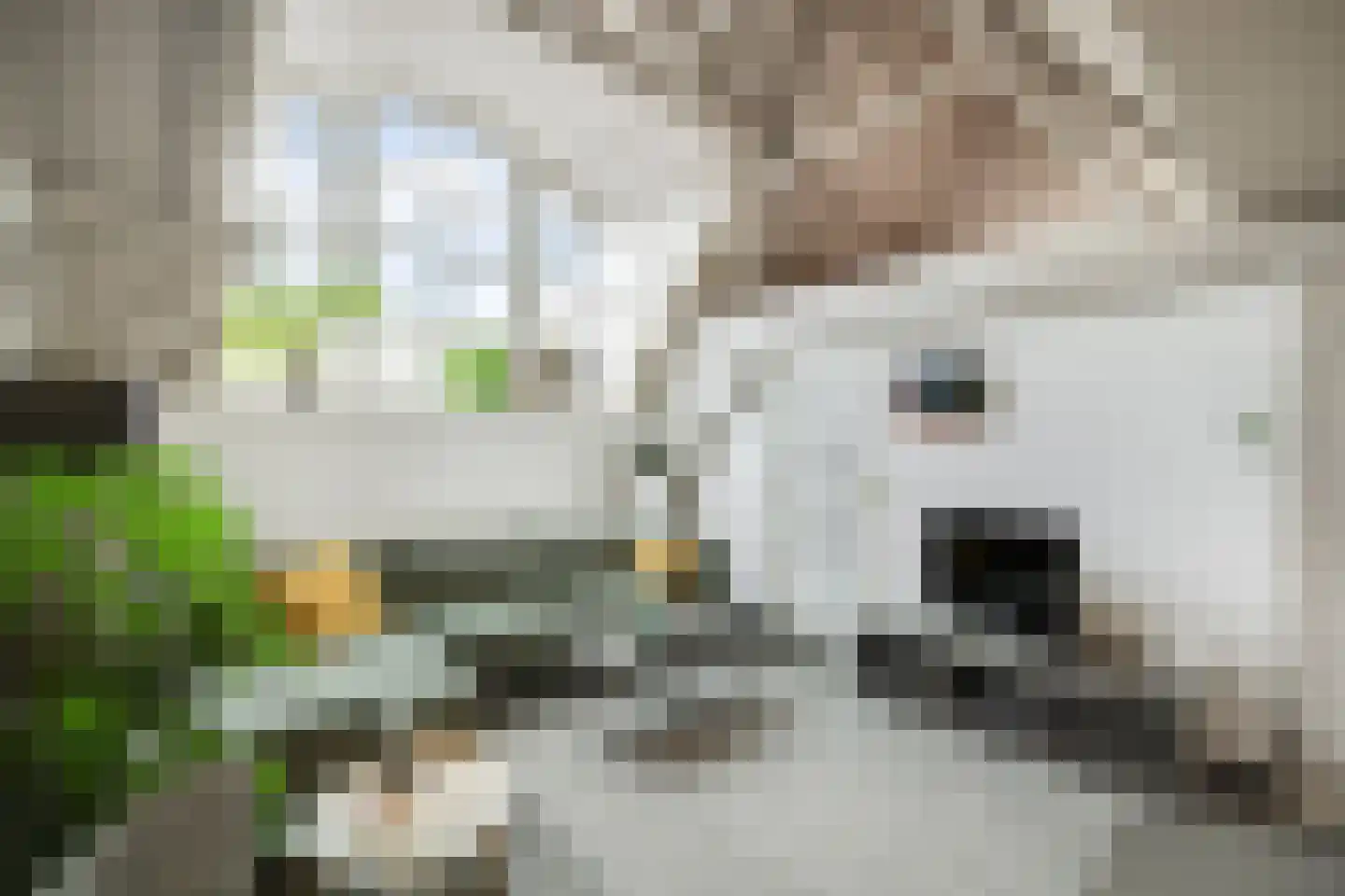 Kruisstraat 4 's-Hertogenbosch thumbnail 23