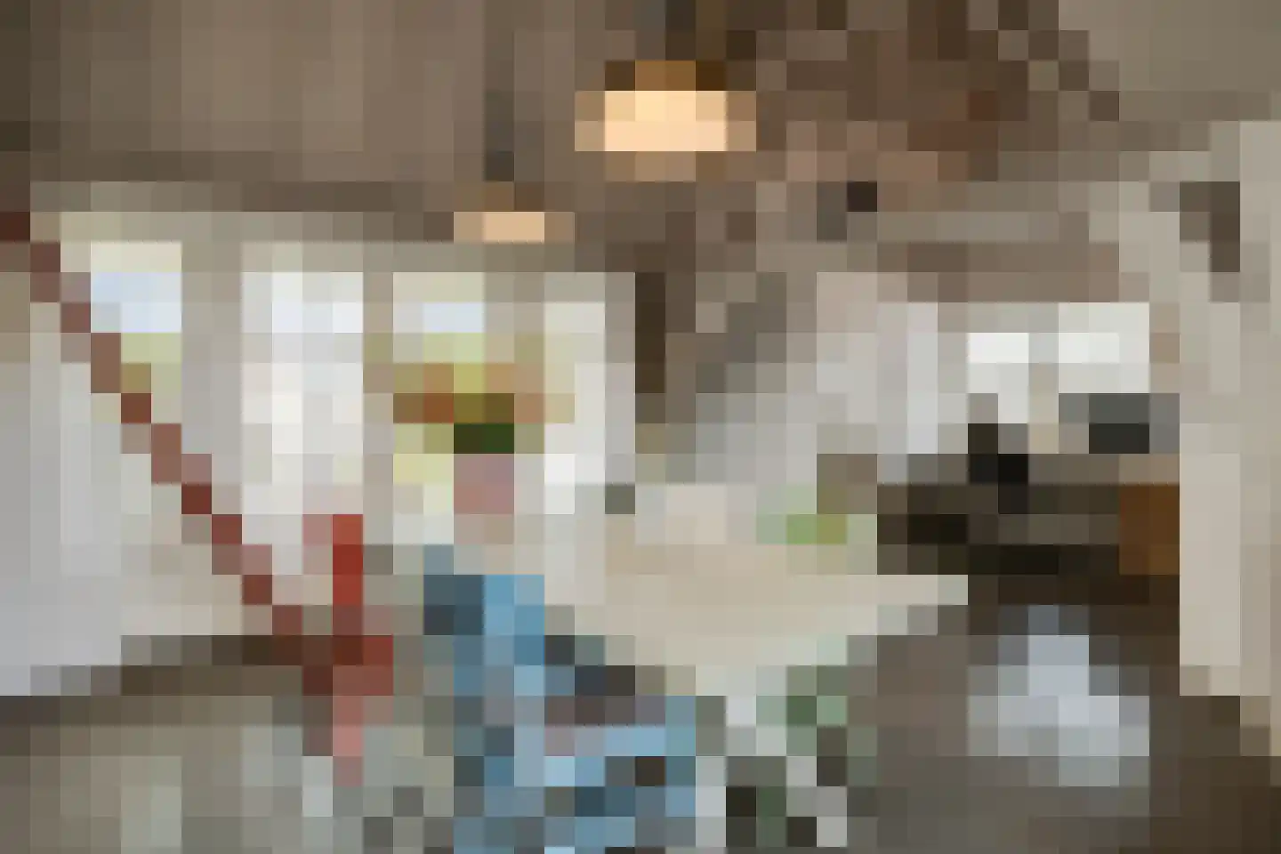 Kruisstraat 4 's-Hertogenbosch thumbnail 25