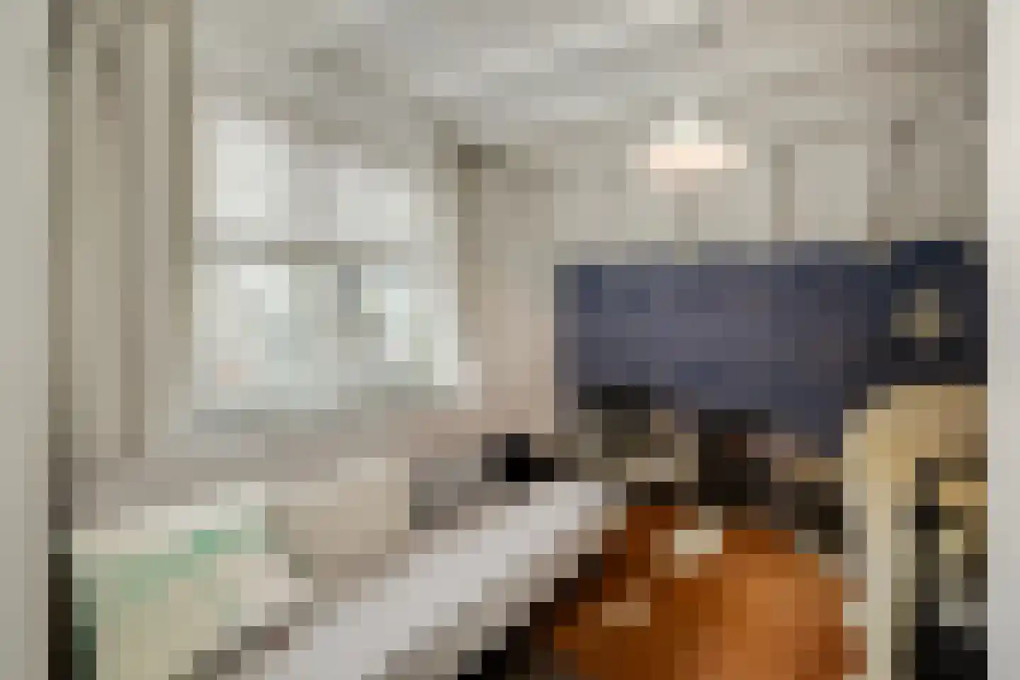 Kruisstraat 4 's-Hertogenbosch thumbnail 29