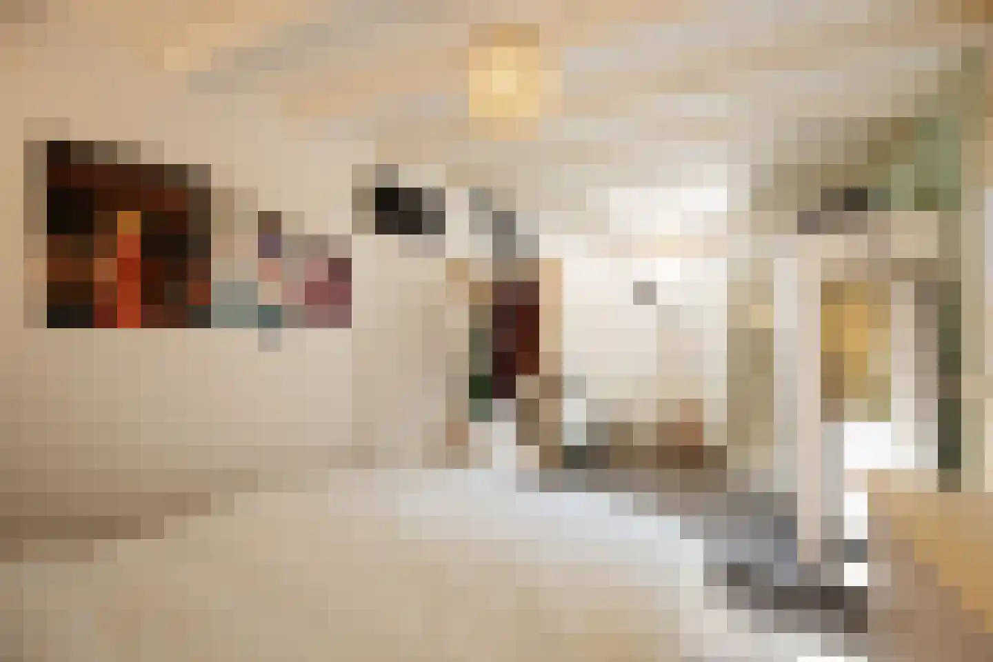 Kruisstraat 4 's-Hertogenbosch thumbnail 30
