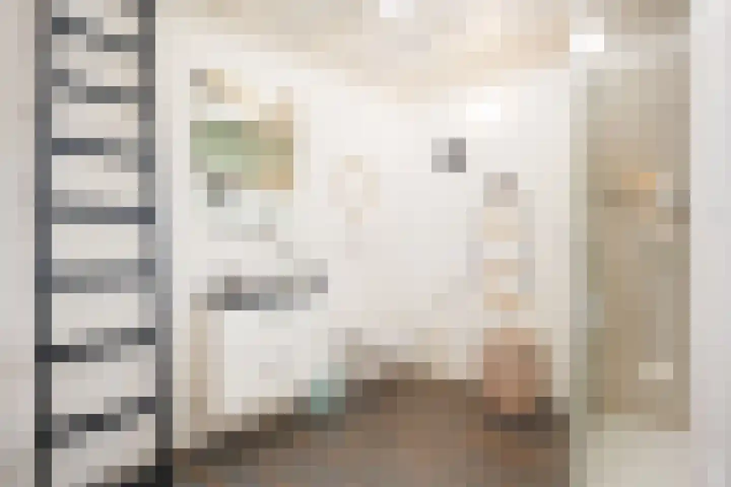 Kruisstraat 4 's-Hertogenbosch thumbnail 33