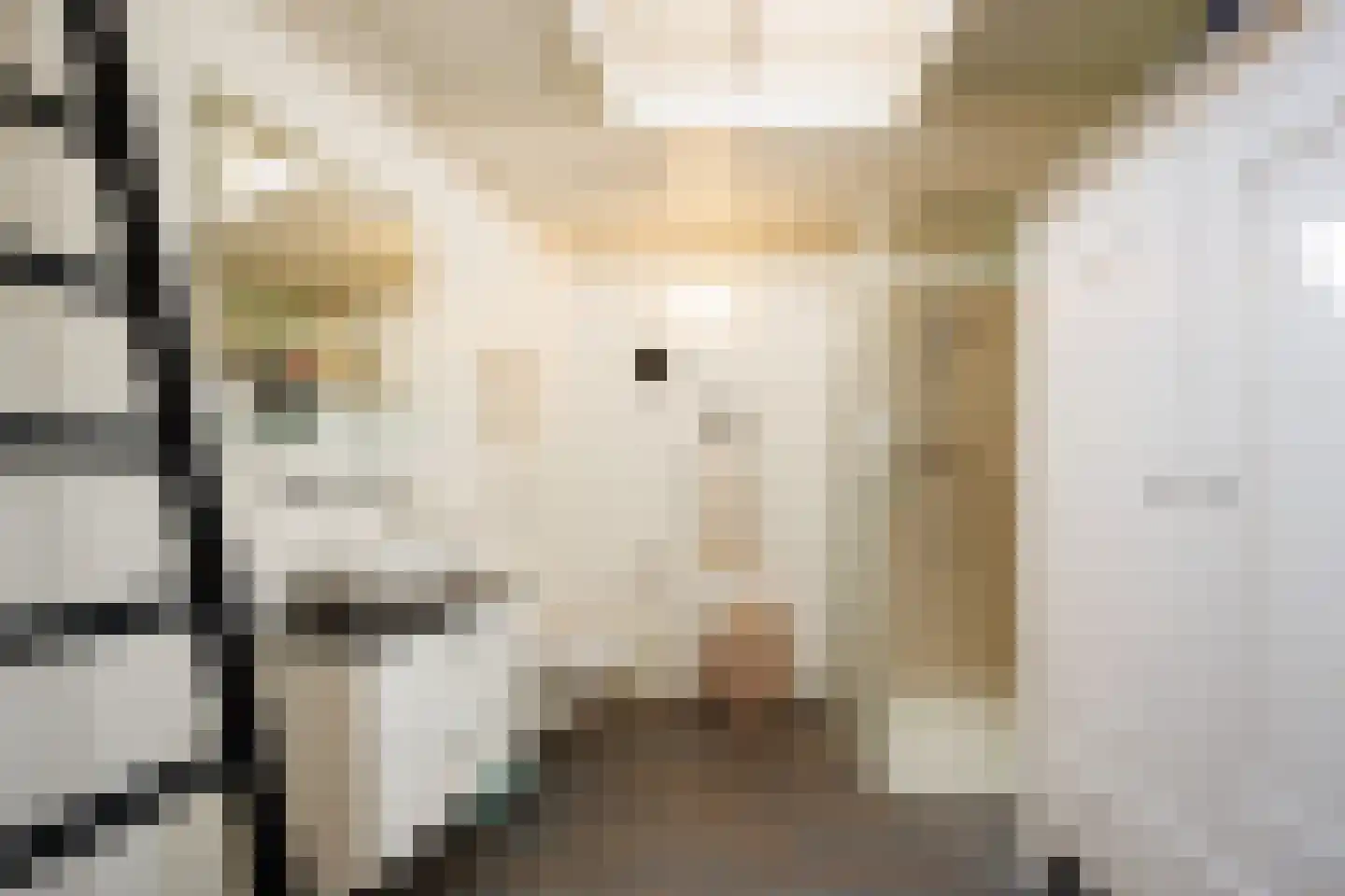 Kruisstraat 4 's-Hertogenbosch thumbnail 34