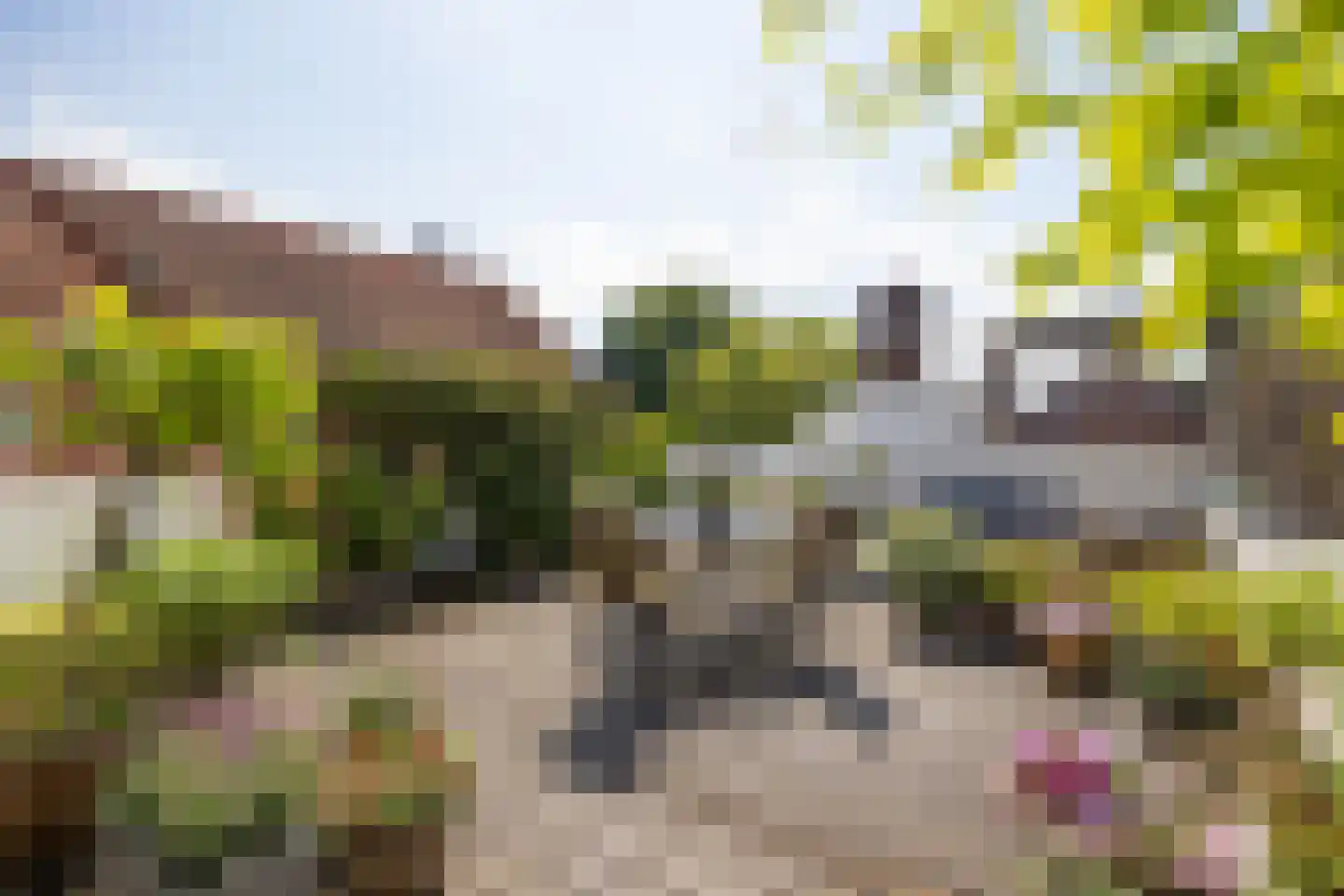 Kruisstraat 4 's-Hertogenbosch thumbnail 36