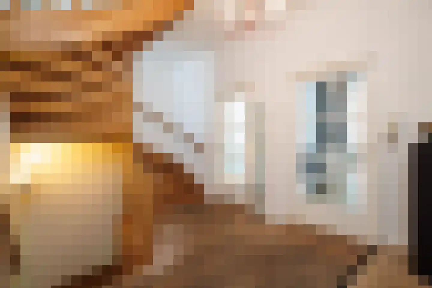 Kruisstraat 4 's-Hertogenbosch thumbnail 37