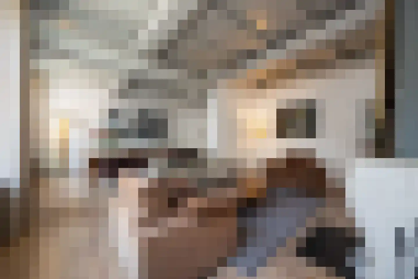 Kruisstraat 4 's-Hertogenbosch thumbnail 4